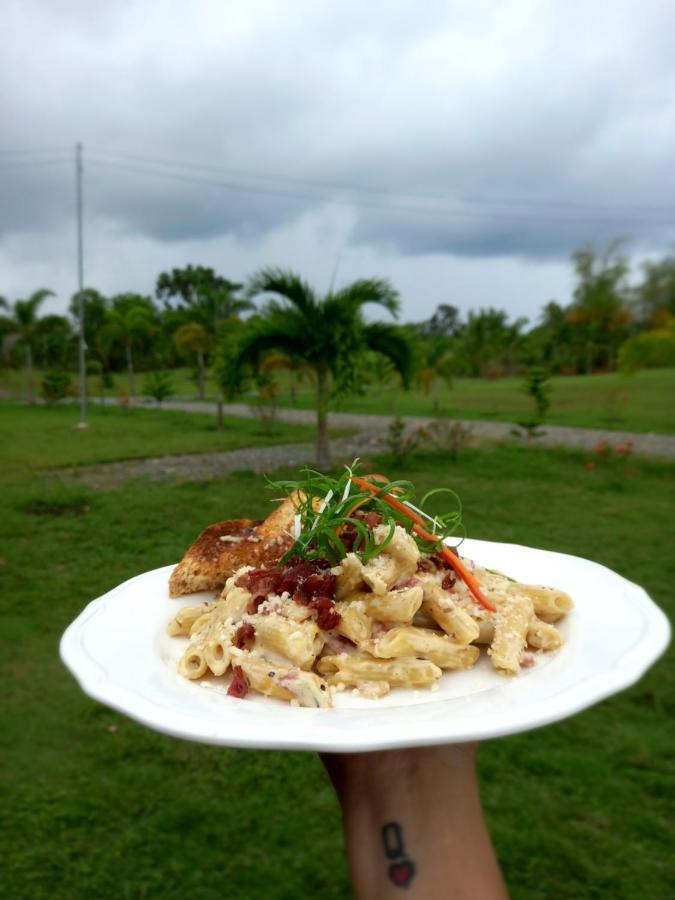 Green Acres Village Moalboal Bagian luar foto
